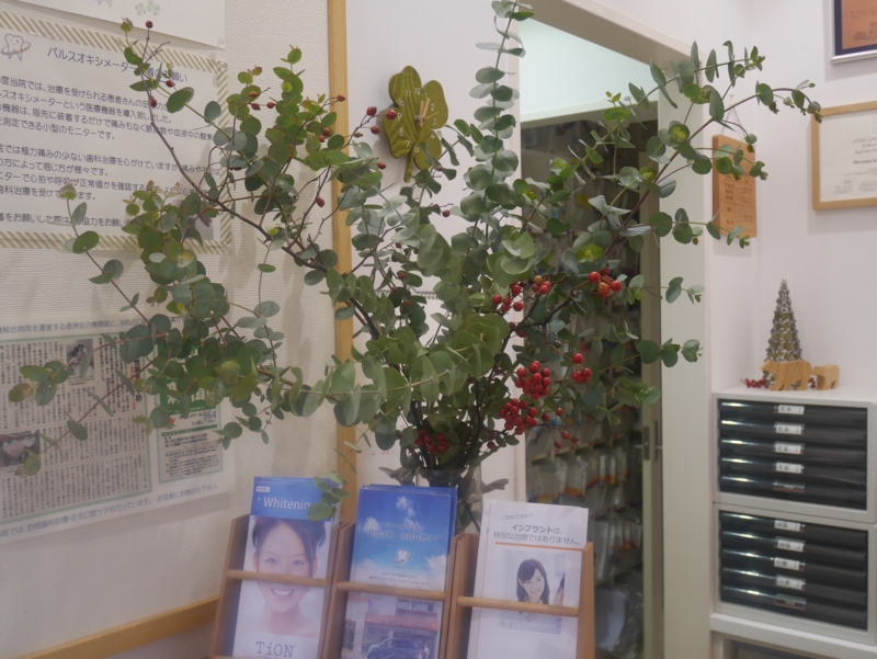 f:id:igarashi-shika:20161211172732j:image:w360
