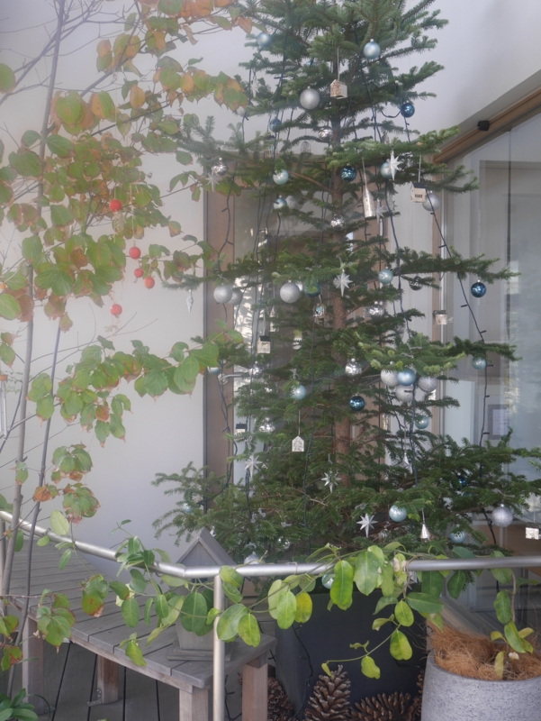 f:id:igarashi-shika:20161211173112j:image:w360