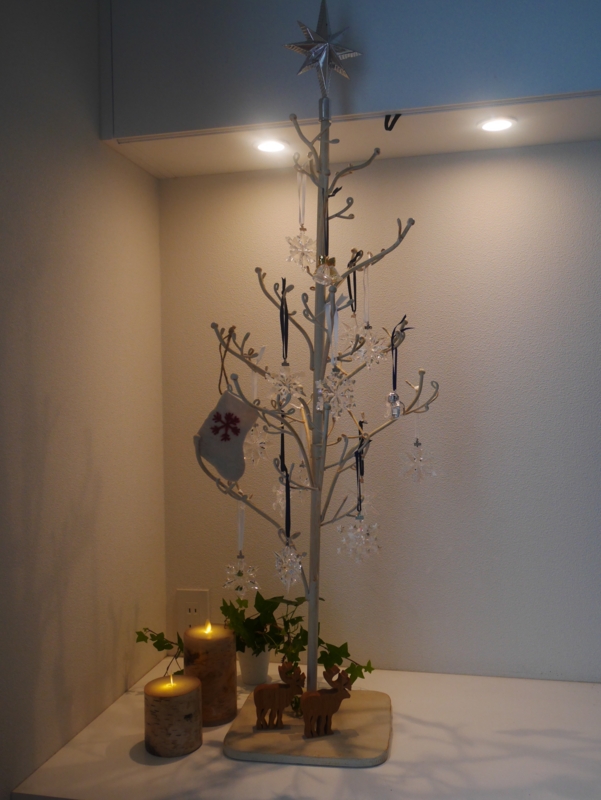 f:id:igarashi-shika:20161225211145j:image:w360