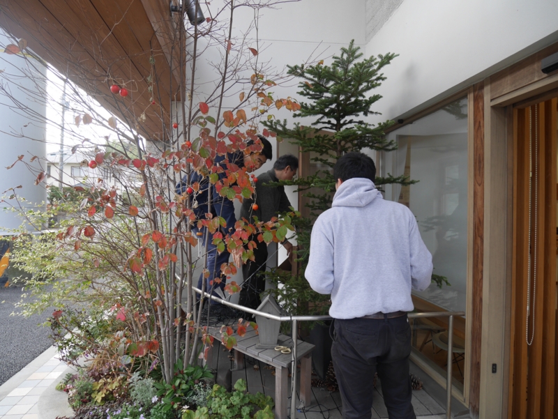 f:id:igarashi-shika:20161225211403j:image:w360