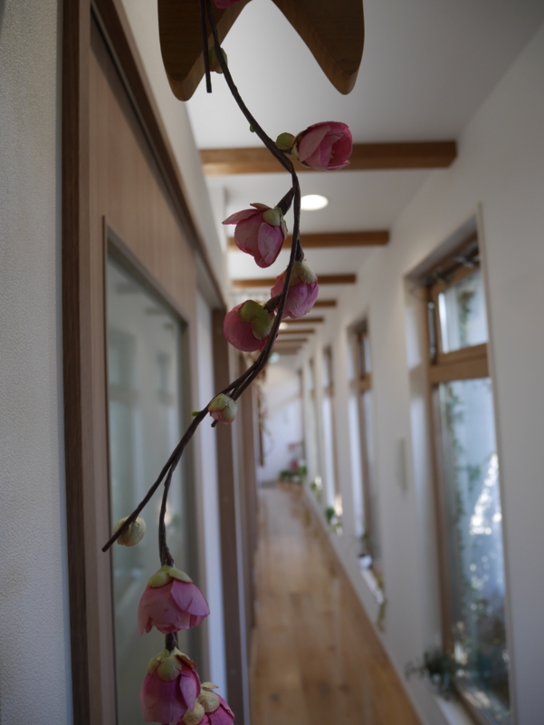 f:id:igarashi-shika:20161229155908j:image:w360