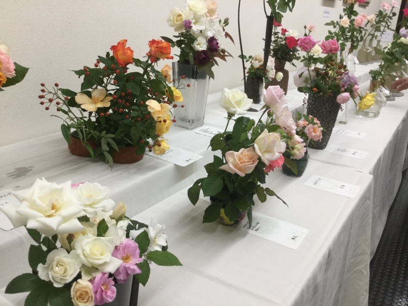 f:id:igarashi-shika:20171021110937j:image:w360