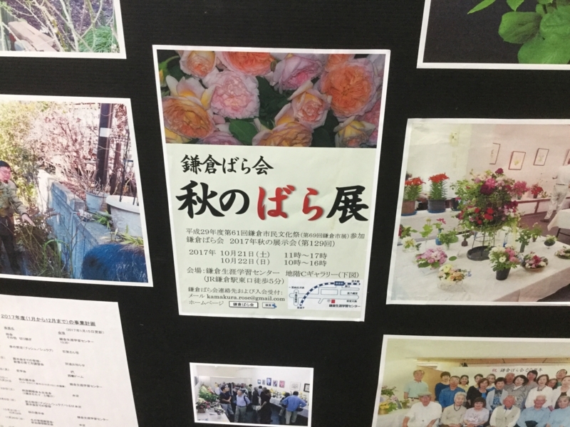 f:id:igarashi-shika:20171021111102j:image:w360