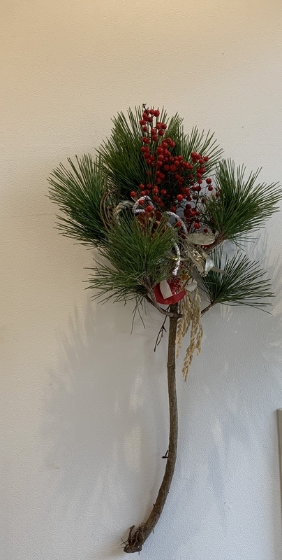 f:id:igarashi-shika:20190103124923j:image:w360