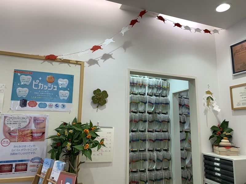 f:id:igarashi-shika:20190103172514j:image:w360