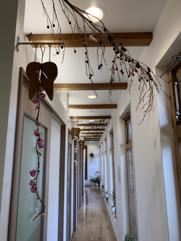 f:id:igarashi-shika:20190103172708j:image:w360