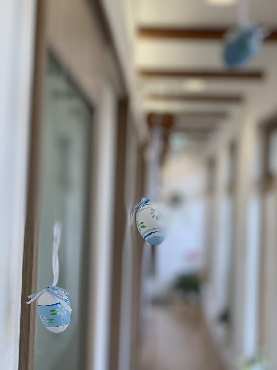 f:id:igarashi-shika:20190312134454j:plain