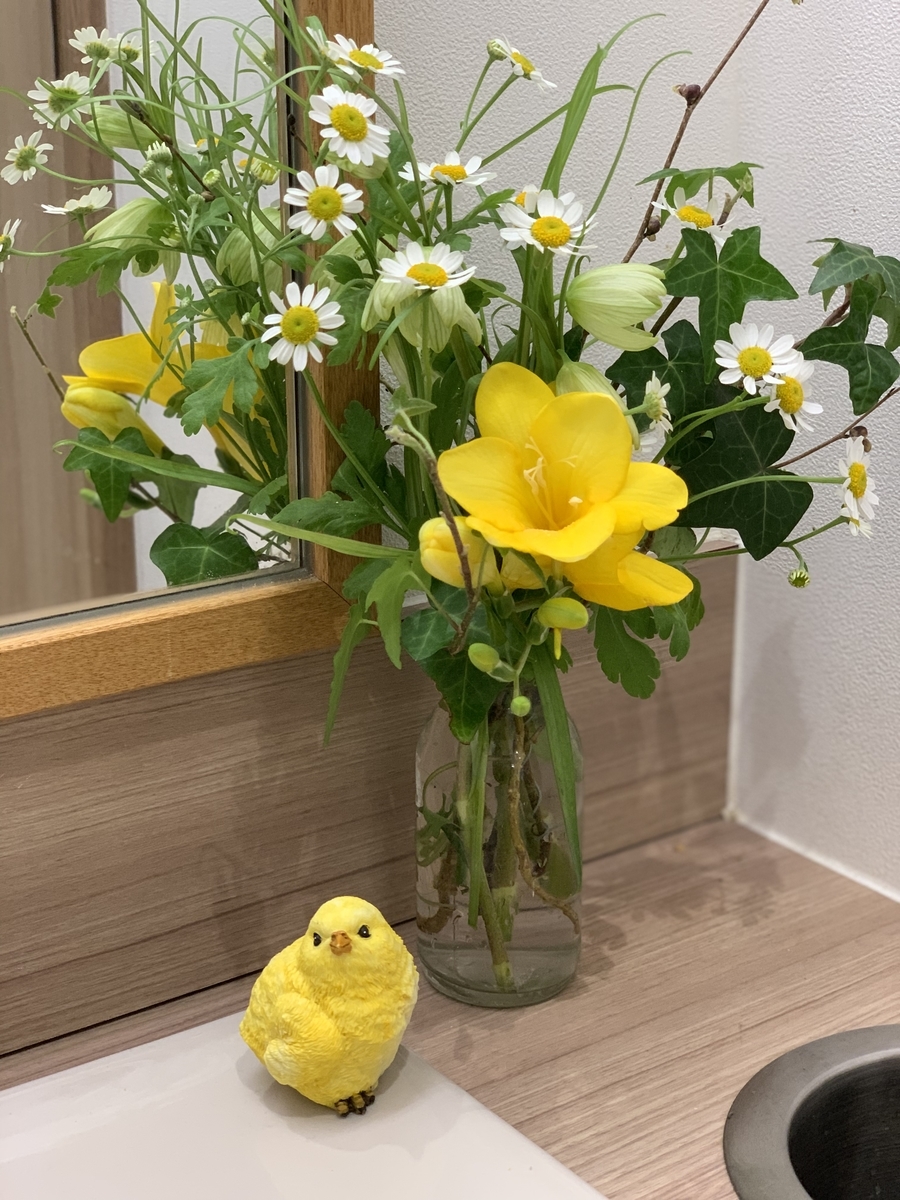 f:id:igarashi-shika:20190321152937j:plain