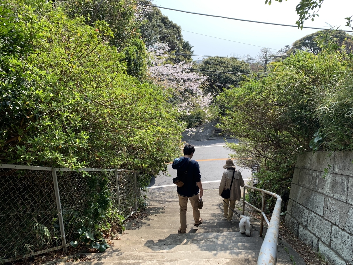 f:id:igarashi-shika:20190408180404j:plain