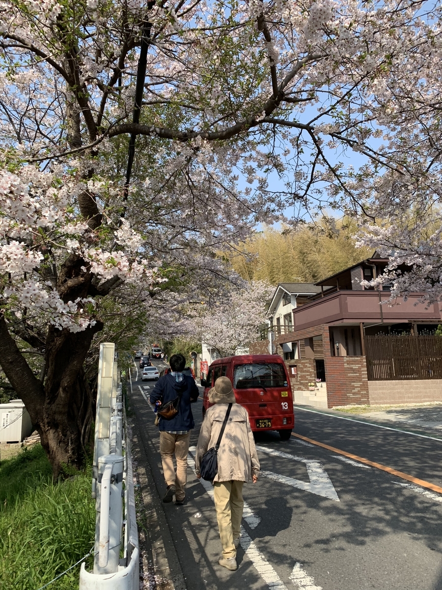 f:id:igarashi-shika:20190408180503j:plain