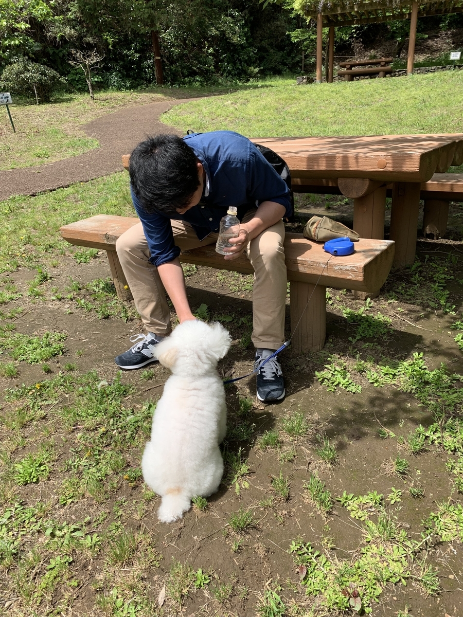 f:id:igarashi-shika:20190503191817j:plain