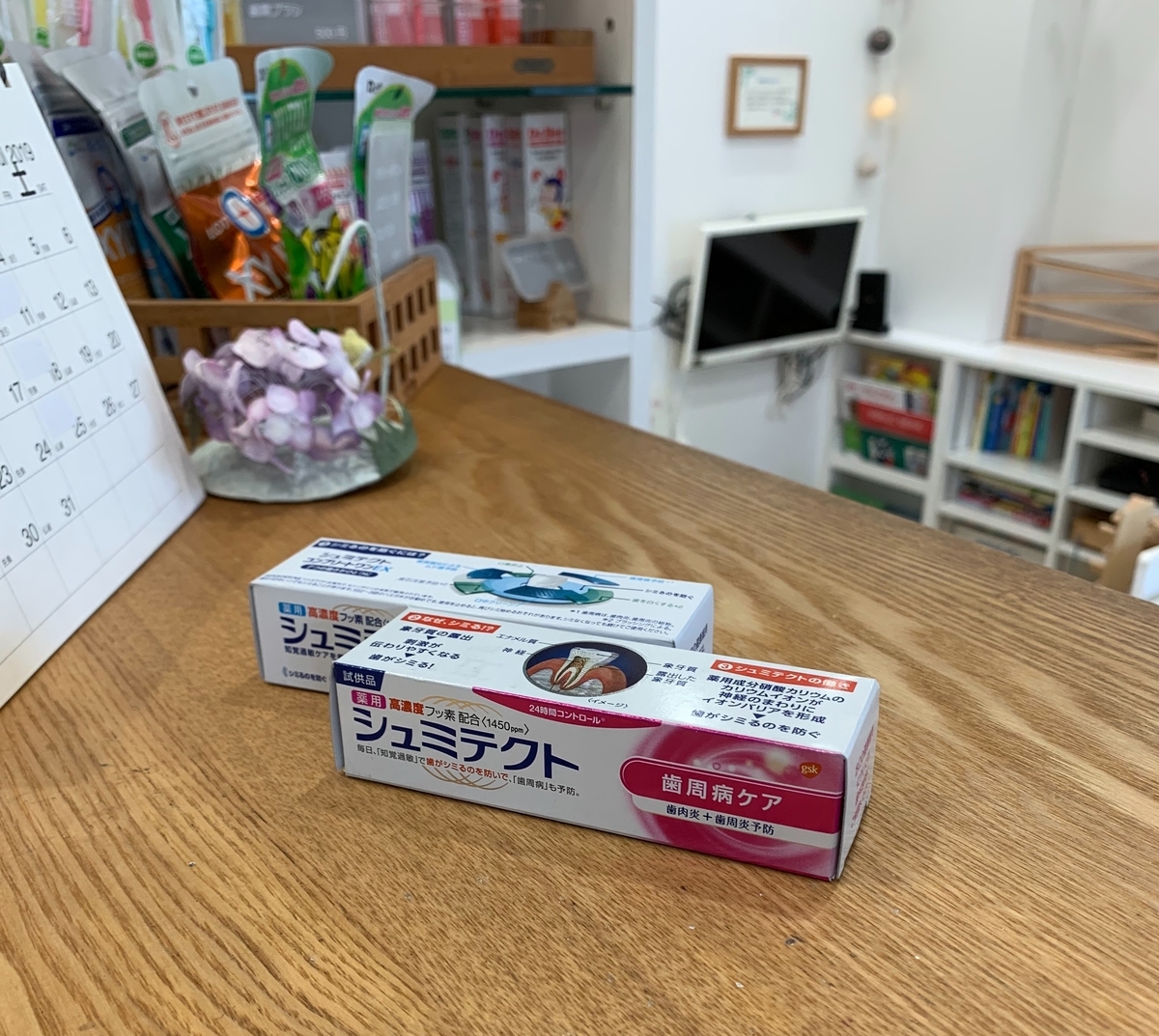 f:id:igarashi-shika:20190611131857j:plain