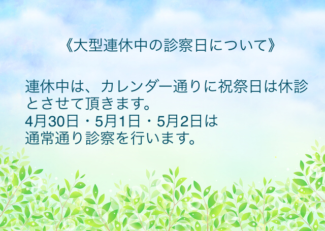 f:id:igarashi-shika:20200216202701j:plain