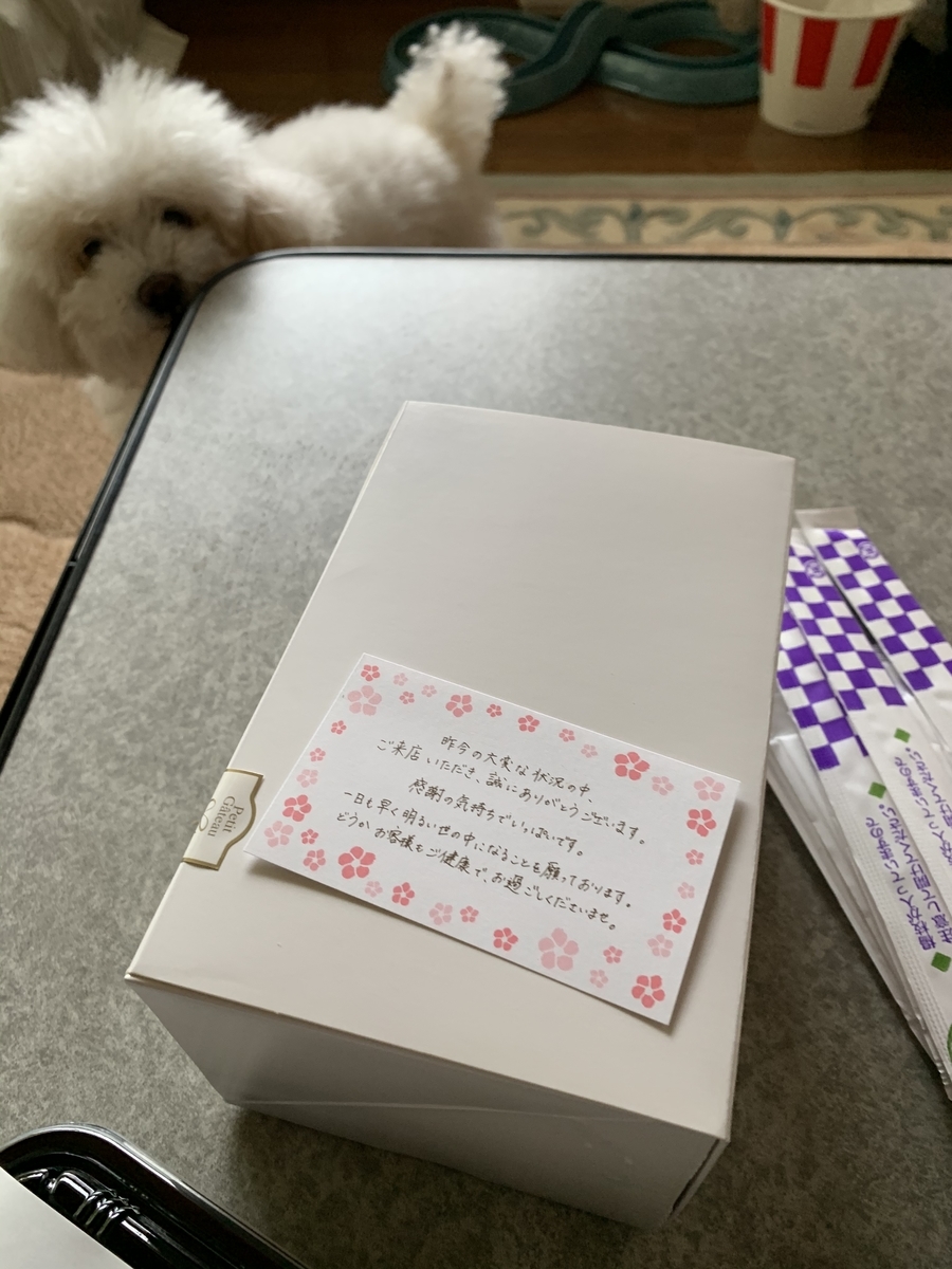 f:id:igarashi-shika:20200514165758j:plain