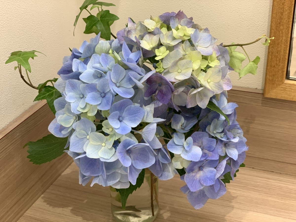 f:id:igarashi-shika:20200611144659j:plain