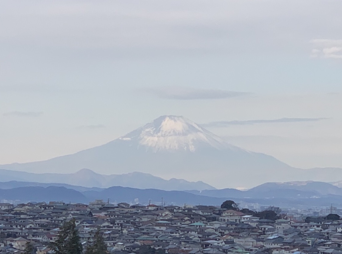 f:id:igarashi-shika:20210105181408j:plain