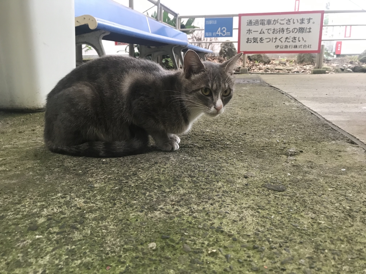 f:id:igatea:20191124005106j:plain f:id:igatea:20191124005106j:plain