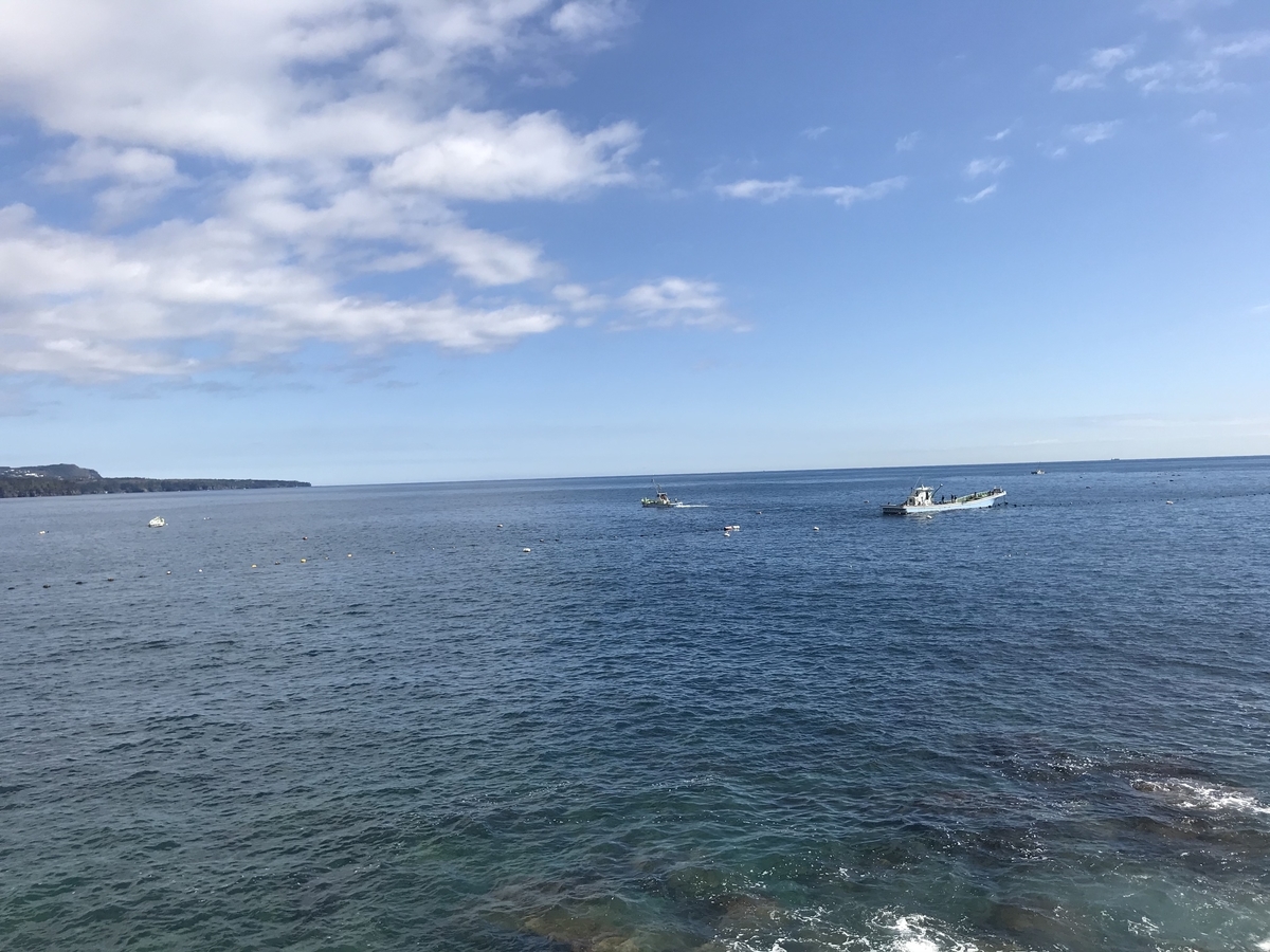 f:id:igatea:20191124021119j:plain f:id:igatea:20191124021119j:plain