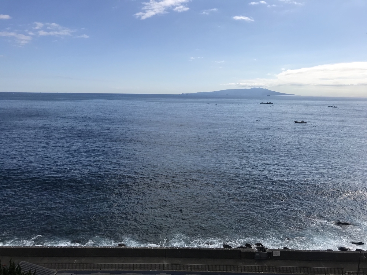 f:id:igatea:20191124041021j:plain f:id:igatea:20191124041021j:plain