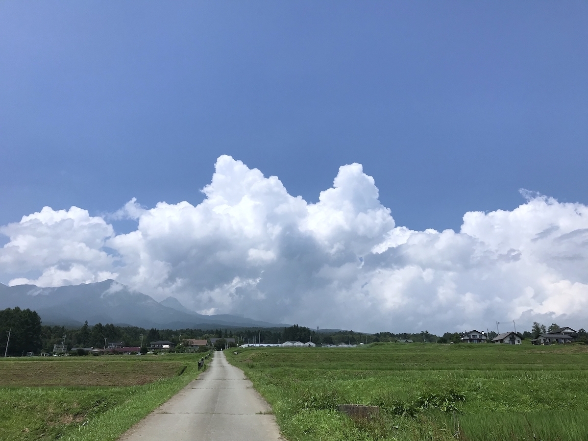 f:id:igelkott:20190730230351j:plain f:id:igelkott:20190730230351j:plain