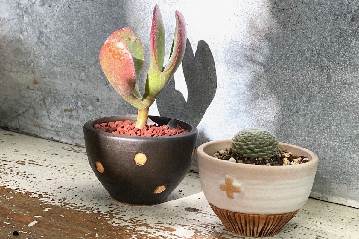 f:id:igelkott:20191013203339j:plain f:id:igelkott:20191013203339j:plain