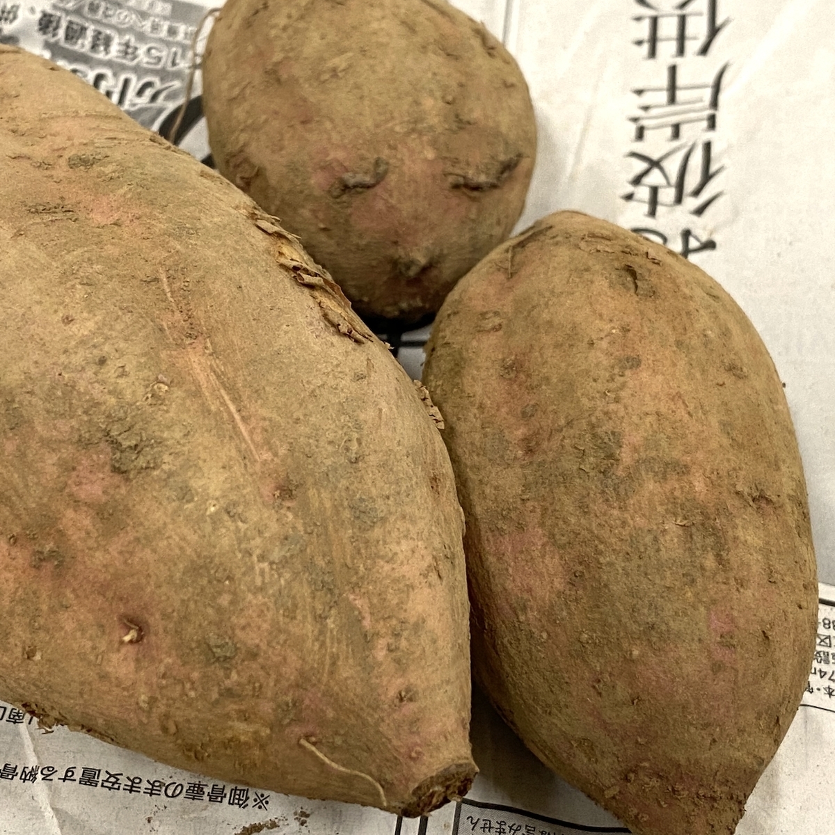 f:id:igelkott:20191123204548j:plain f:id:igelkott:20191123204548j:plain