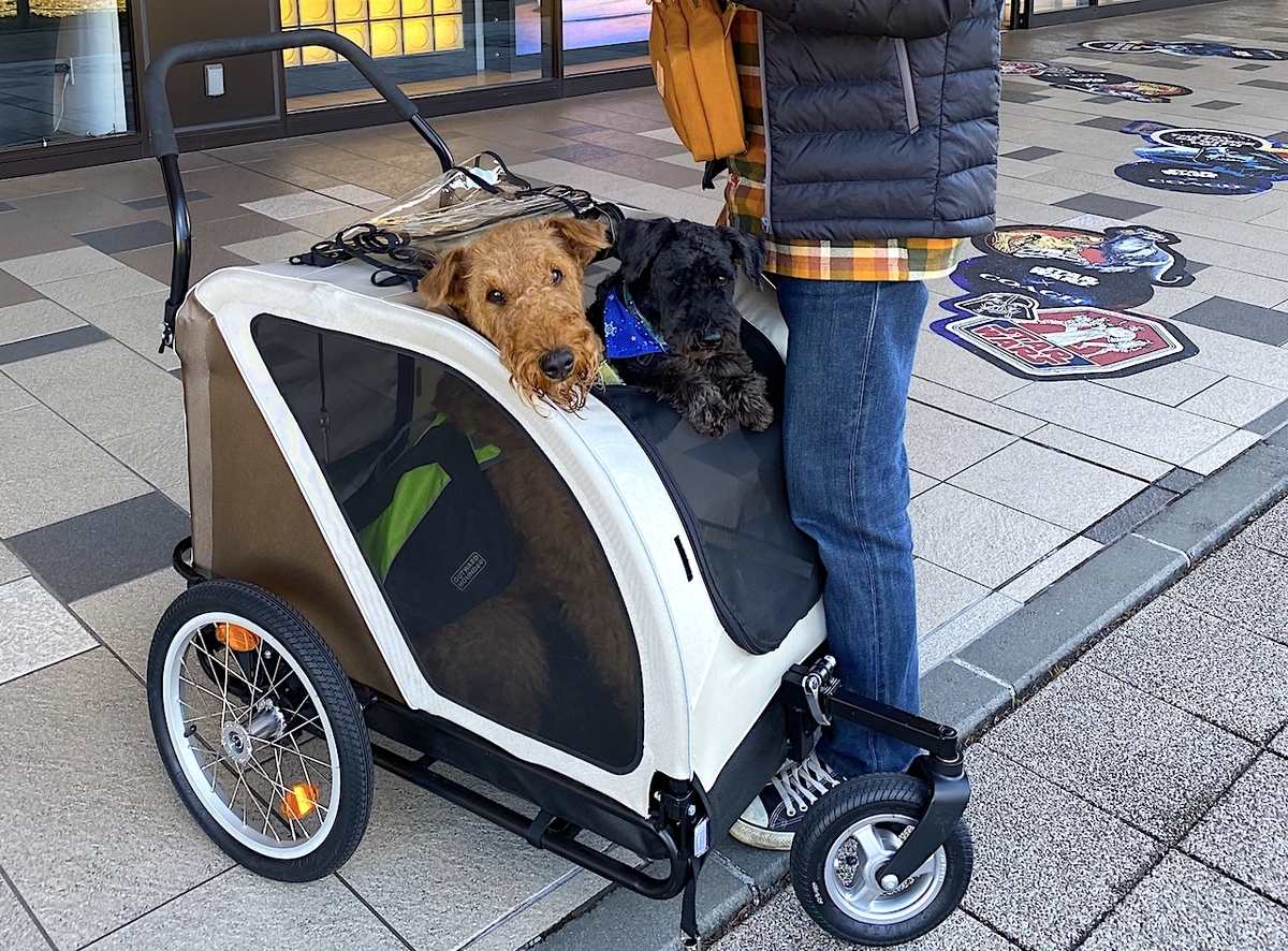 f:id:igelkott:20191203213425j:plain f:id:igelkott:20191203213425j:plain