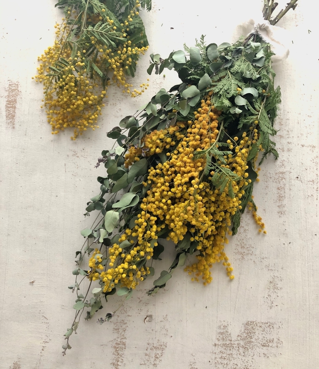 f:id:igelkott:20210120223000j:plain