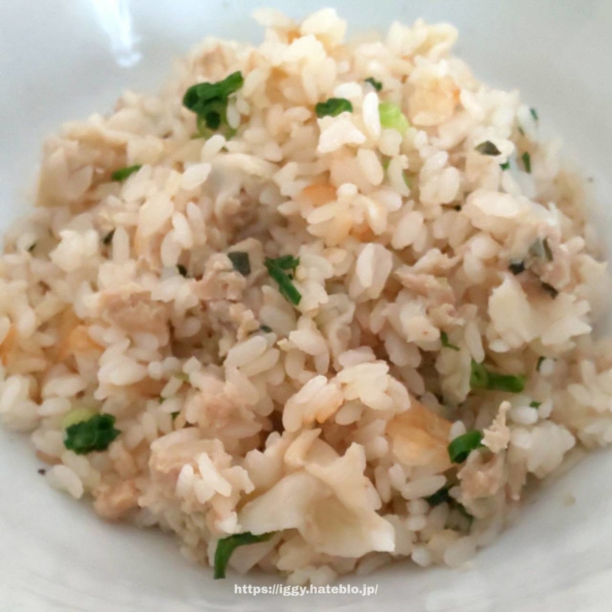 ズボラ飯 炊飯器 レシピ 冷凍餃子炊き込みご飯