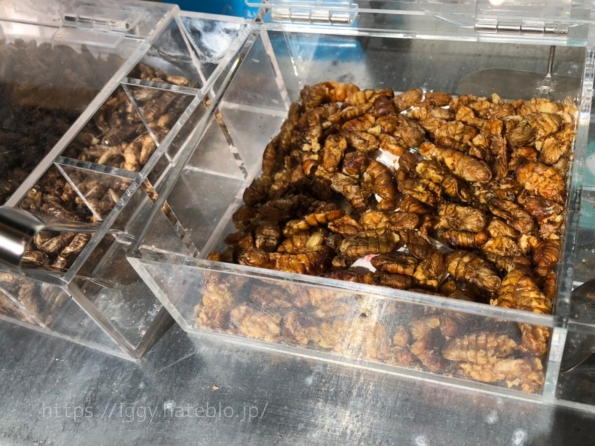 福岡 昆虫食バグーム 閉店 口コミ レビュー