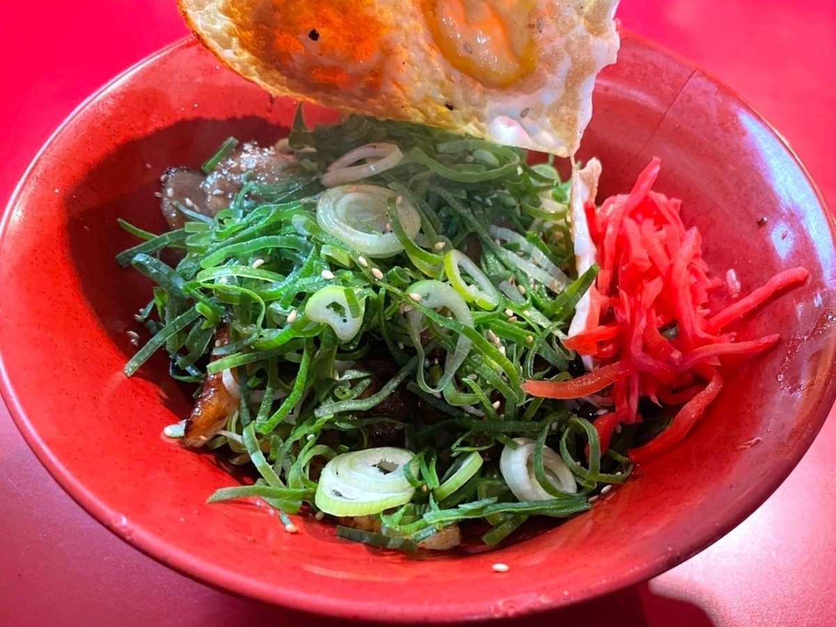 大和家 人気メニュー ねぎ豚丼 ごはん少なめ 口コミ レビュー