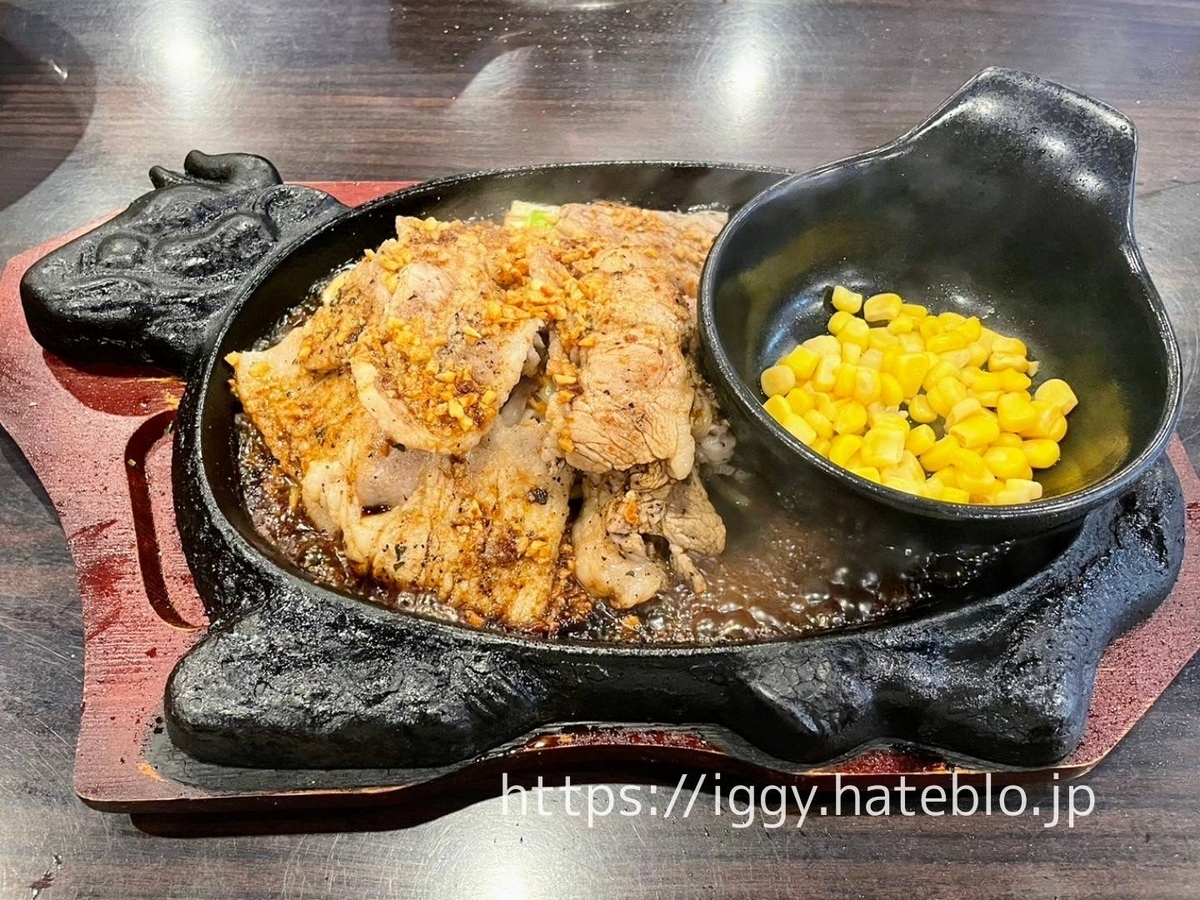 ガチで肉好き レビュー メニュー 牛カルビ豚バラ 口コミ