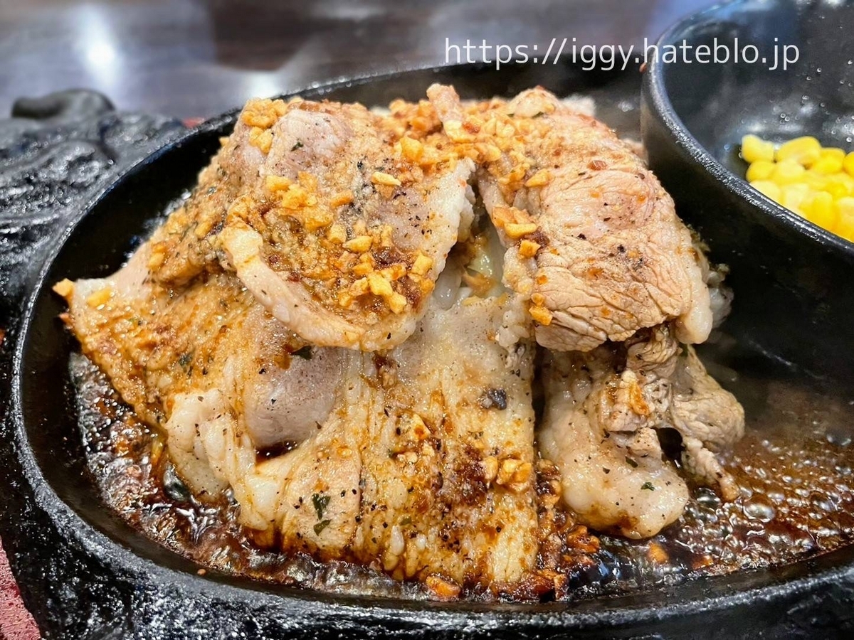 ガチで肉好き レビュー メニュー 鉄板焼き 牛カルビ豚バラ 口コミ