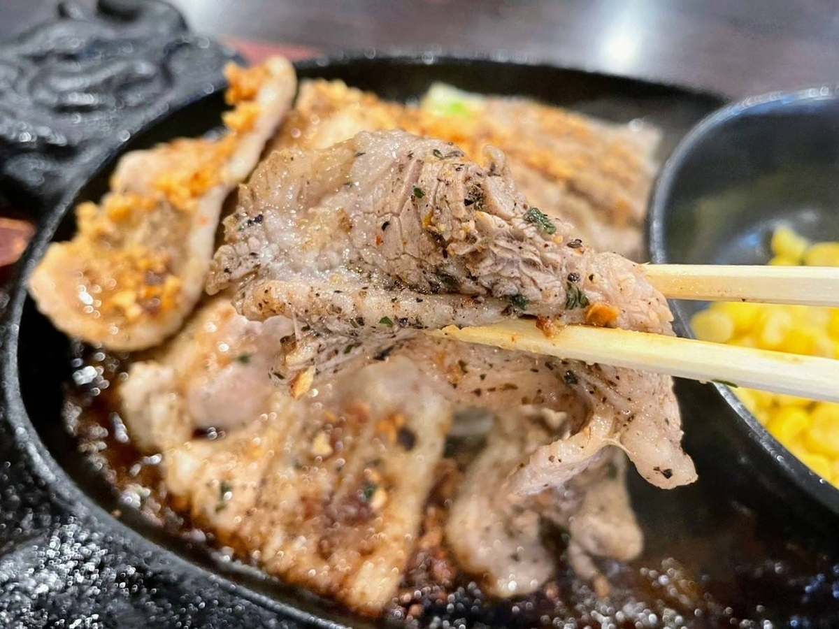 ガチで肉好き レビュー メニュー 鉄板焼き 牛カルビ豚バラ まずい？