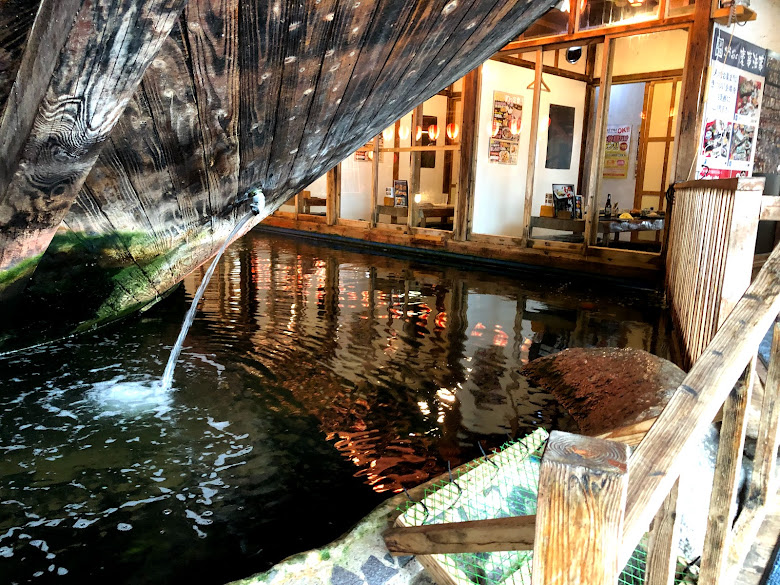 ざうお メニュー ランチ 釣り レビュー 写真