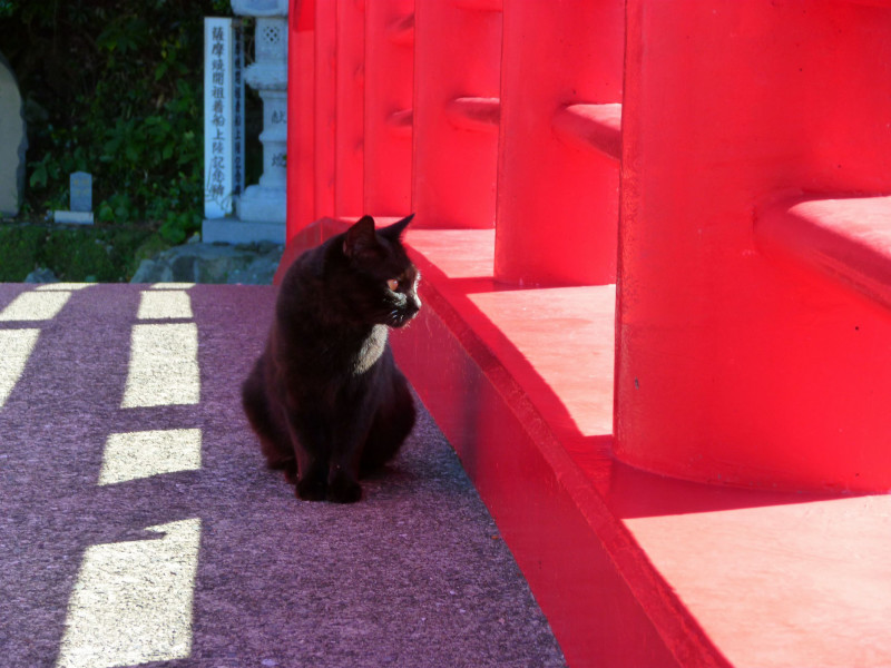 照島神社 いちき串木野