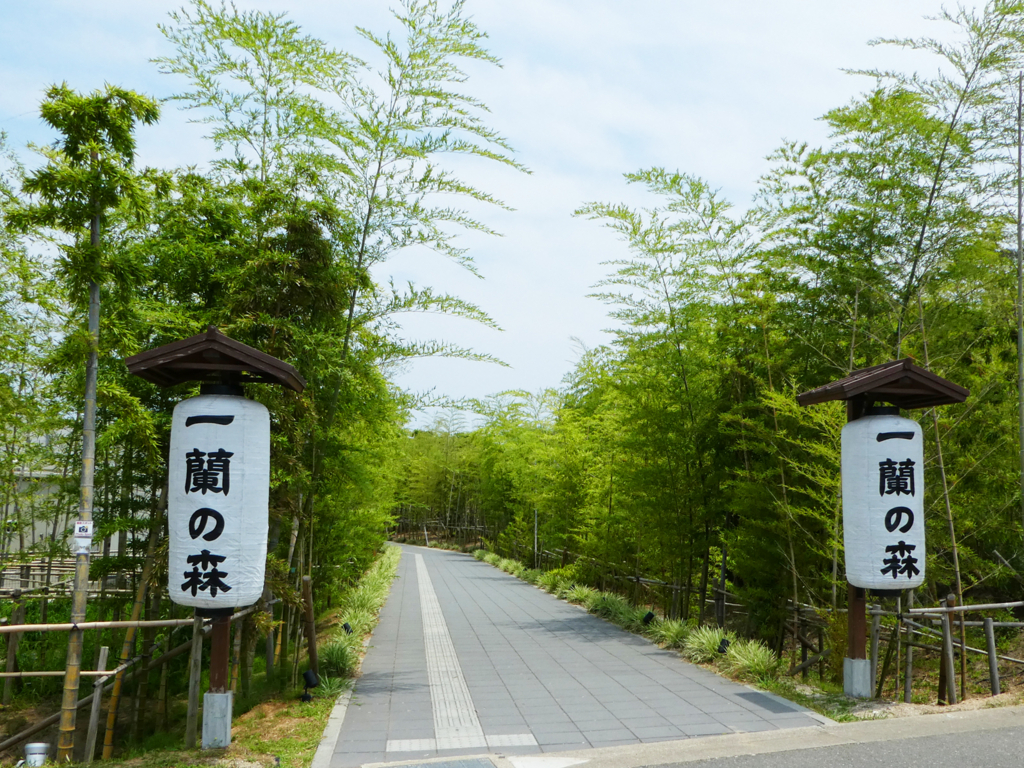 一蘭の森