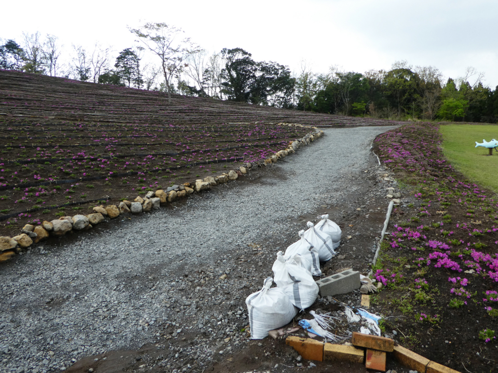 ショック 2018年4月7日の霧島高原 まほろばの里の芝桜の丘 終活行政書士 合原千尋の絵日記 鹿児島市