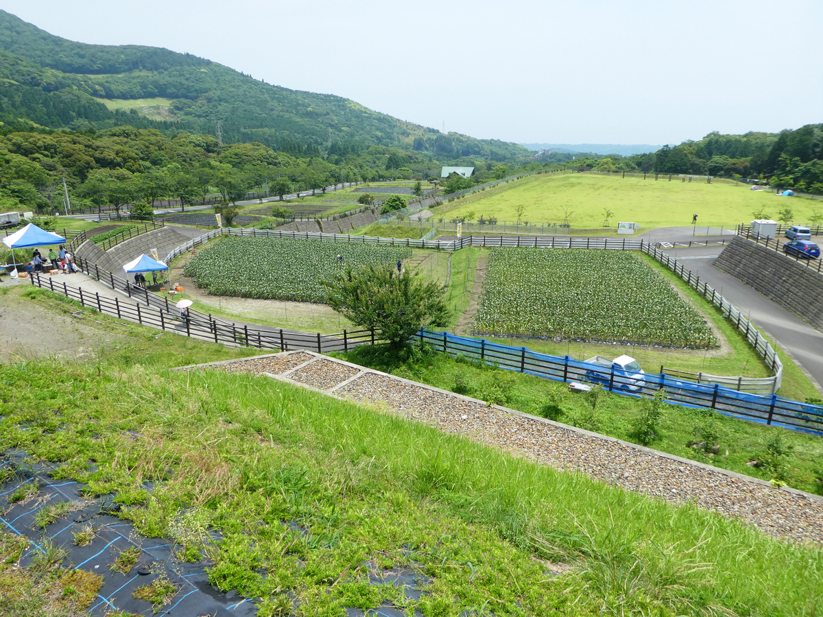 グリーンファーム 鹿児島市喜入