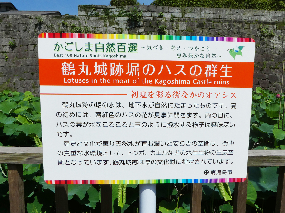 鶴丸城御楼門 A 鹿児島市城山町 合原ちひろの絵日記 鹿児島市
