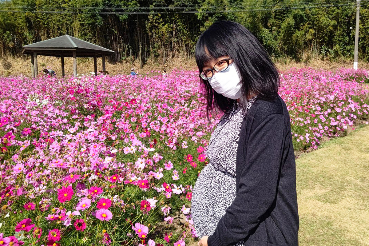 慈眼寺公園　コスモス
