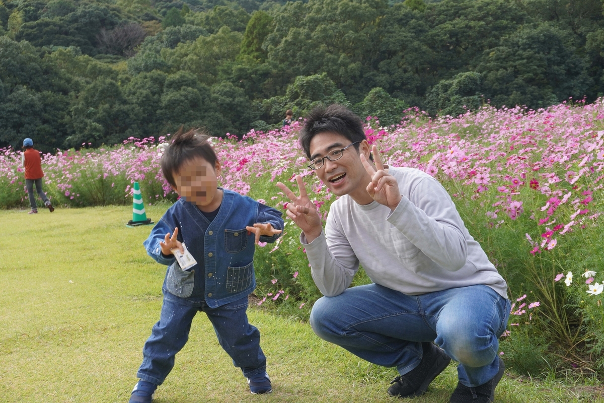 慈眼寺公園　コスモス