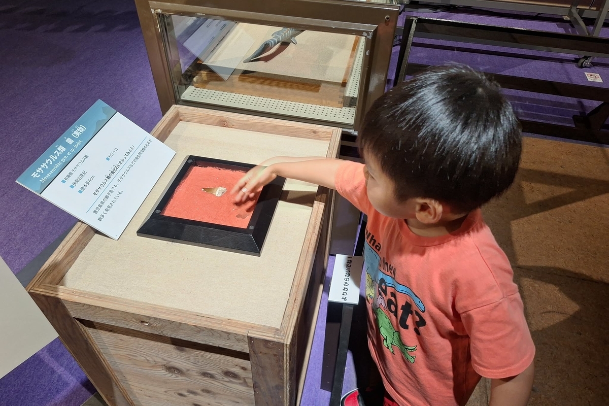 大恐竜展2026