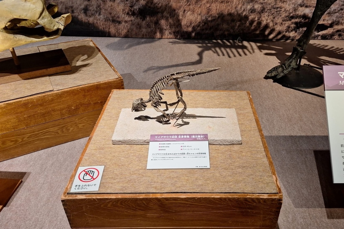 大恐竜展2026