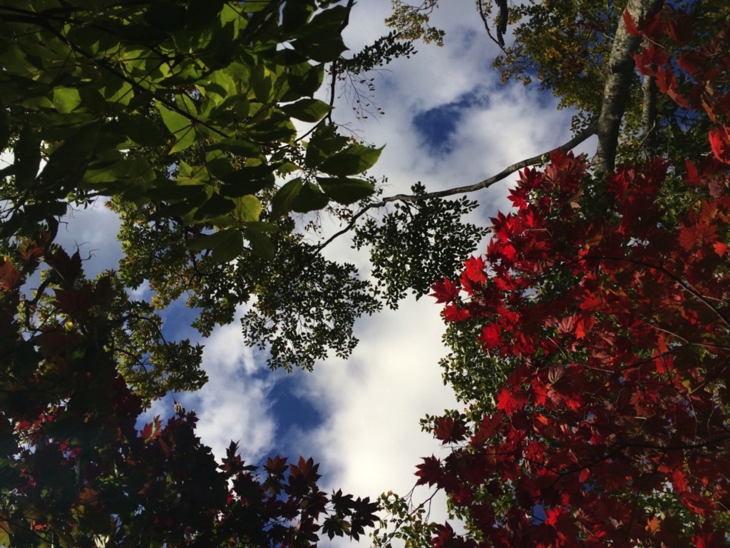 f:id:igooke:20151001084411j:plain