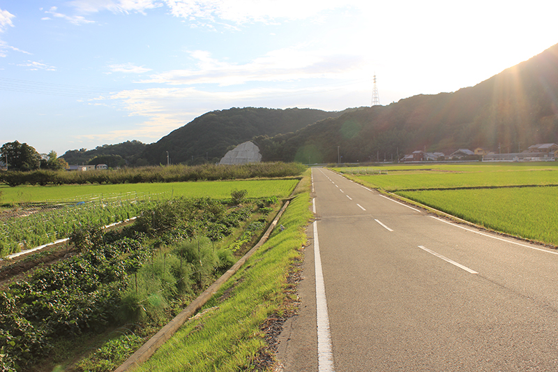 f:id:igooke:20161011163525j:plain