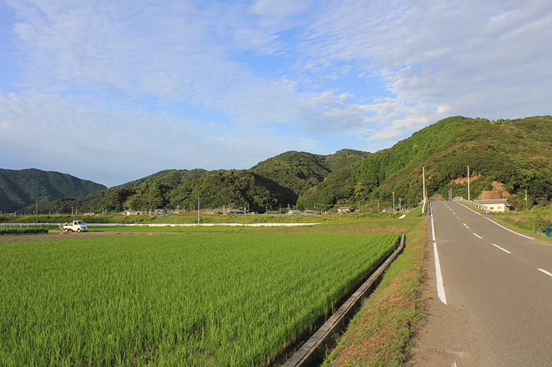 f:id:igooke:20161011163744j:plain