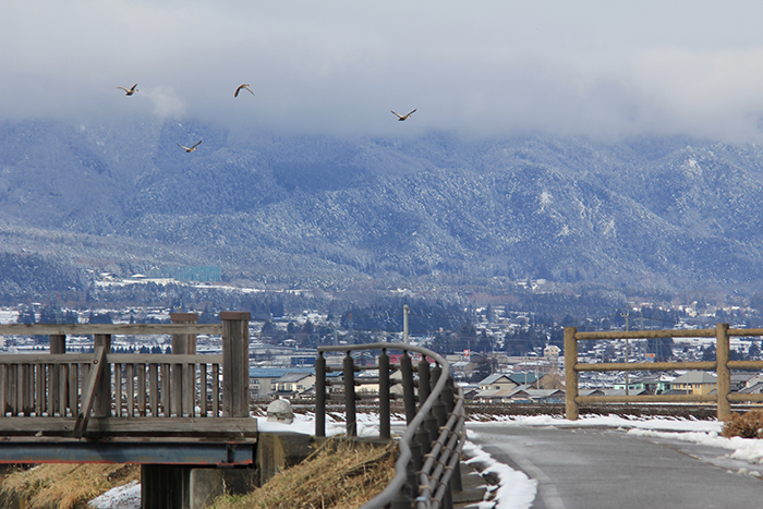 f:id:igooke:20170121112719j:plain