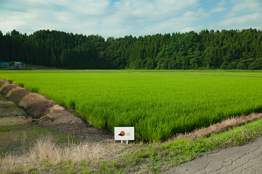 f:id:igooke:20170720165415j:plain f:id:igooke:20170720165415j:plain