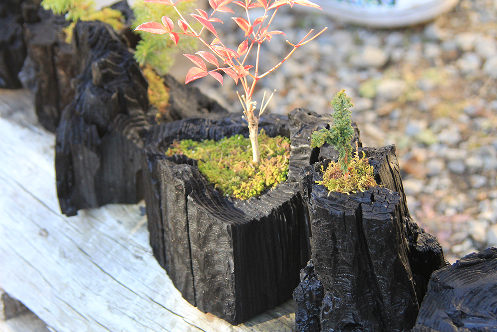 f:id:igooke:20171203135318j:plain f:id:igooke:20171203135318j:plain